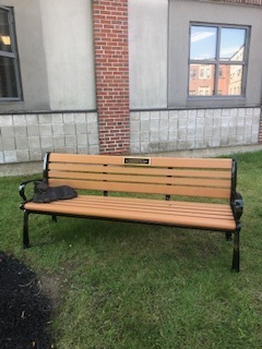 bench